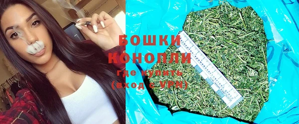 шишки Осташков