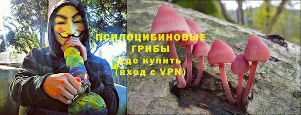 apvp Армянск