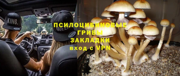 гидропоника Аркадак